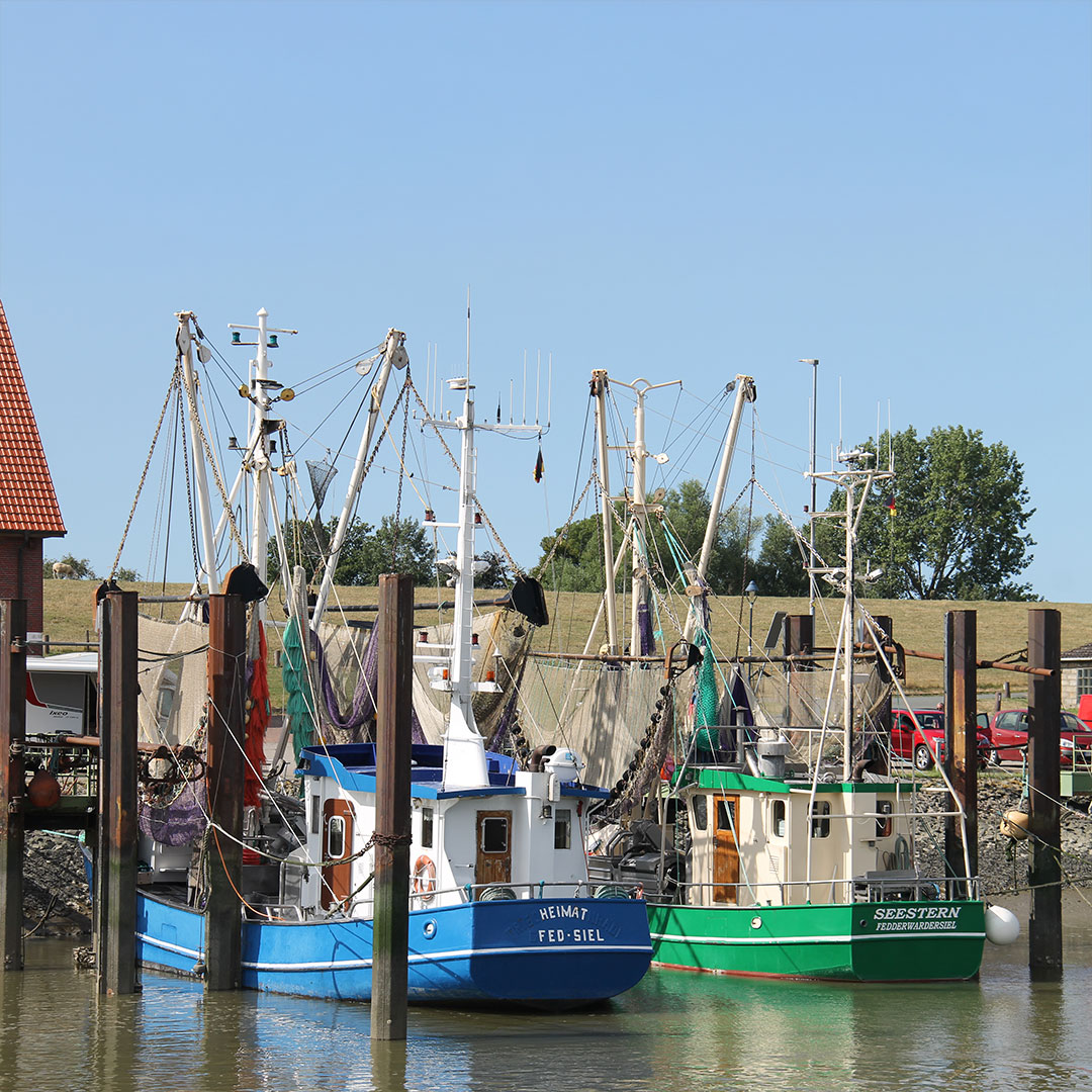 Butjadingen – Fischkutter an der Nordseeküste